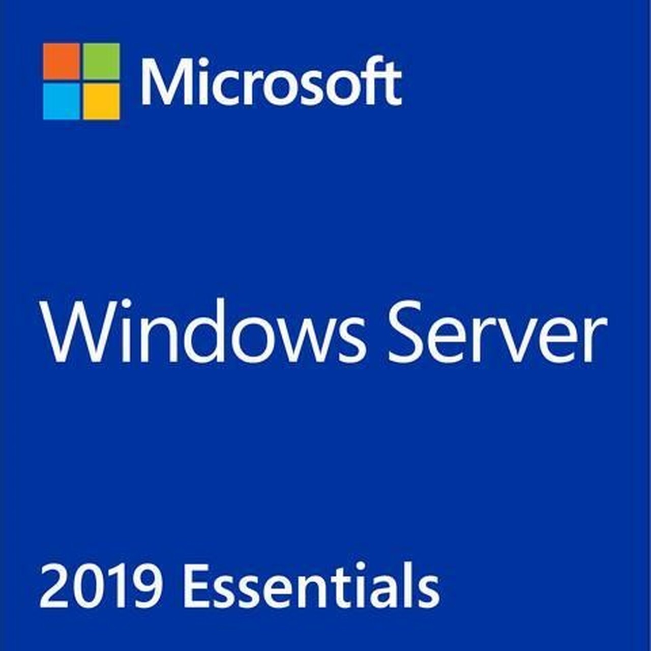 Windows Server 2019 Essentials Hosting